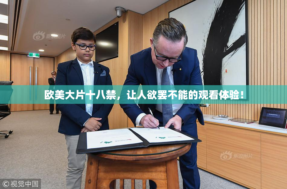 欧美大片十八禁，让人欲罢不能的观看体验！