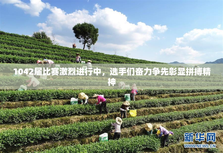 1042届比赛激烈进行中，选手们奋力争先彰显拼搏精神