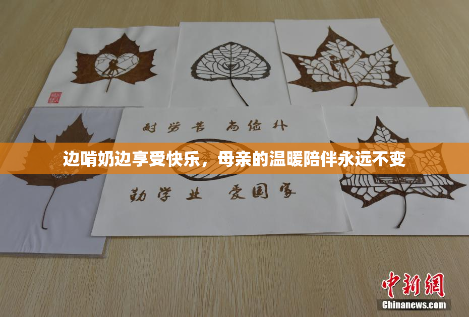 边啃奶边享受快乐，母亲的温暖陪伴永远不变