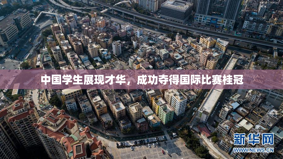 中国学生展现才华，成功夺得国际比赛桂冠