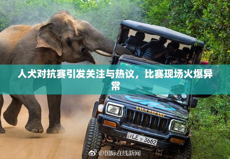 人犬对抗赛引发关注与热议，比赛现场火爆异常