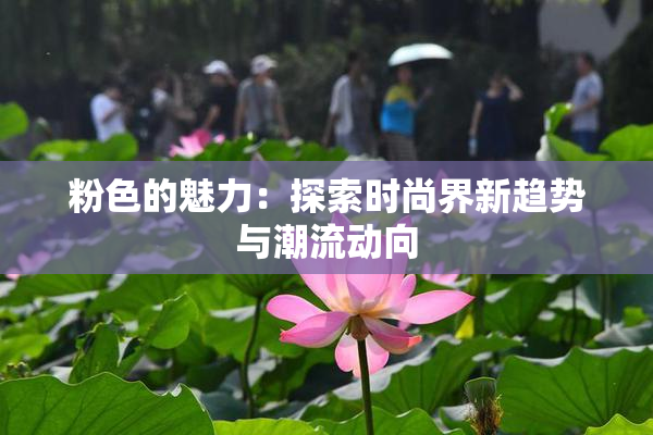粉色的魅力：探索时尚界新趋势与潮流动向