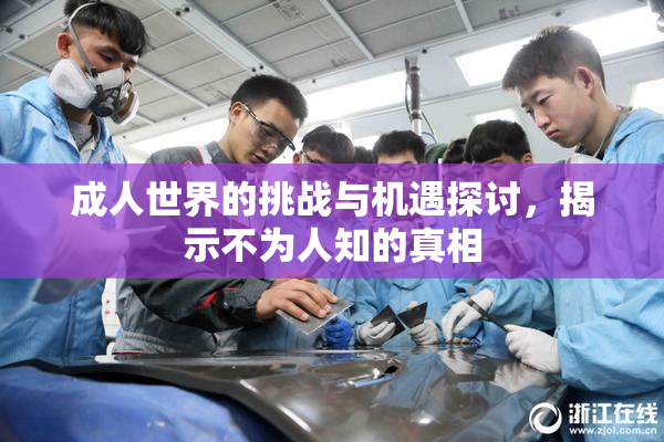 成人世界的挑战与机遇探讨，揭示不为人知的真相