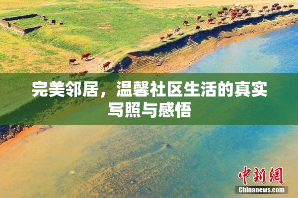 完美邻居，温馨社区生活的真实写照与感悟