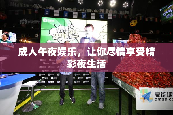 成人午夜娱乐，让你尽情享受精彩夜生活