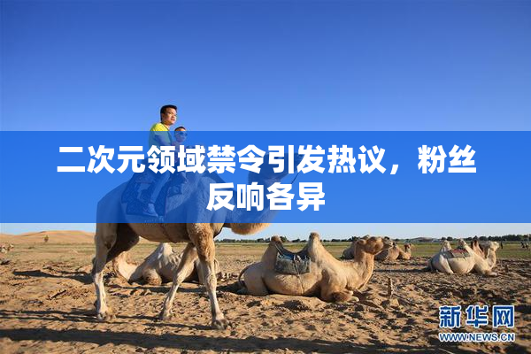 二次元领域禁令引发热议，粉丝反响各异