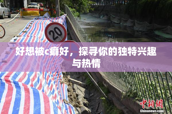 好想被c癖好，探寻你的独特兴趣与热情