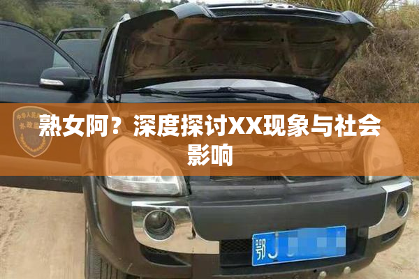 熟女阿？深度探讨XX现象与社会影响