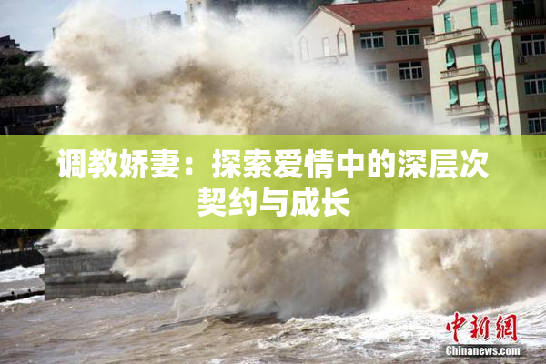调教娇妻：探索爱情中的深层次契约与成长