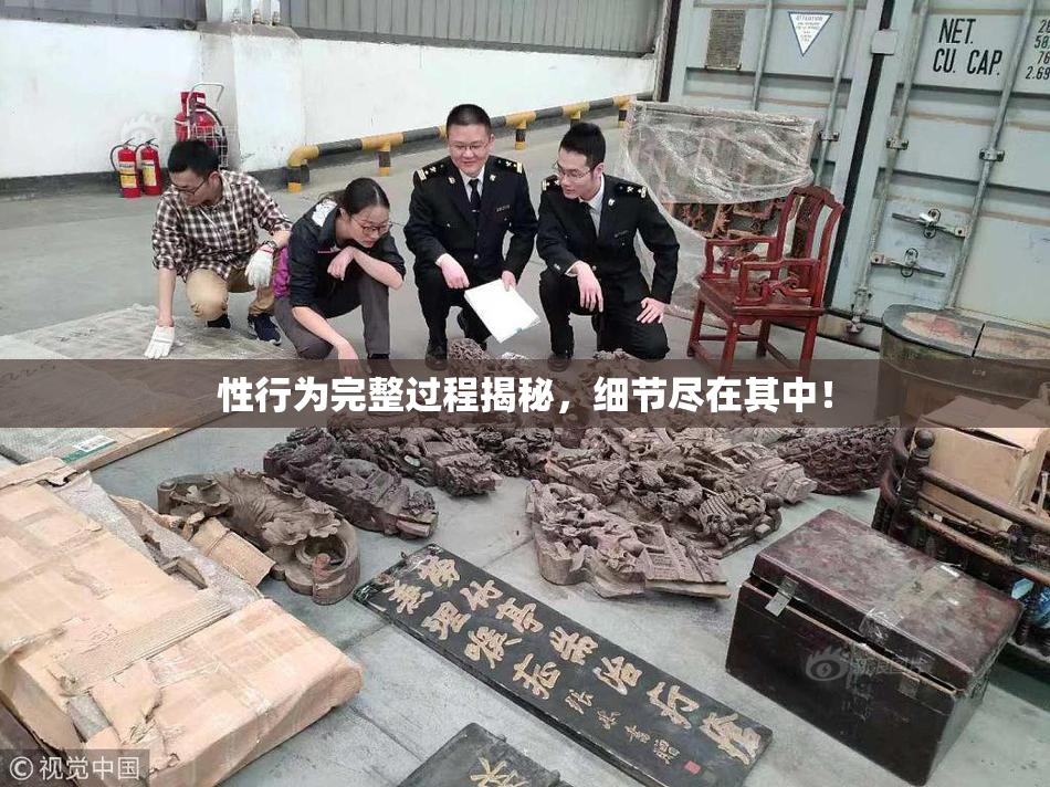 性行为完整过程揭秘，细节尽在其中！