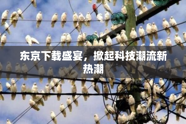 东京下载盛宴，掀起科技潮流新热潮