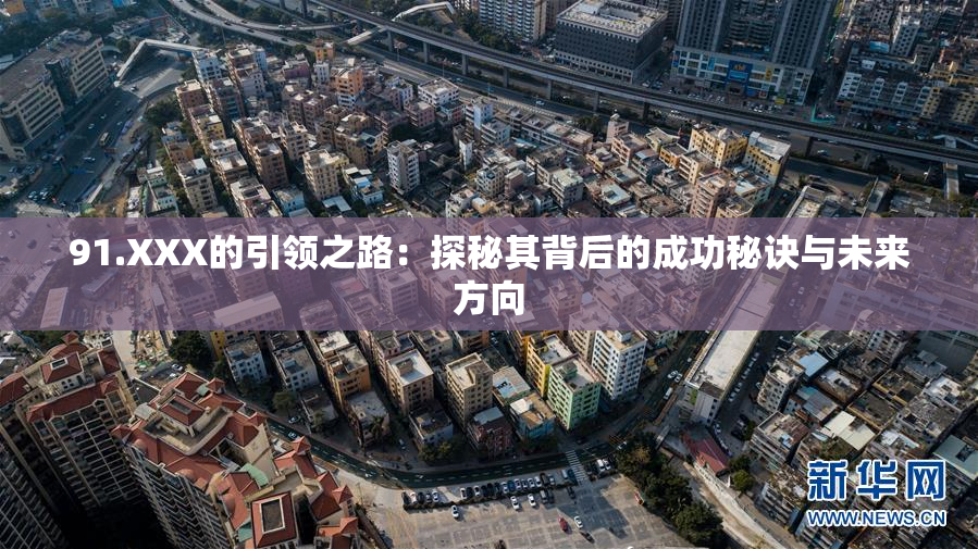91.XXX的引领之路：探秘其背后的成功秘诀与未来方向