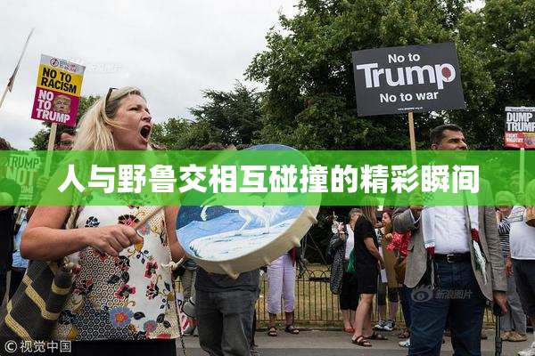 人与野鲁交相互碰撞的精彩瞬间