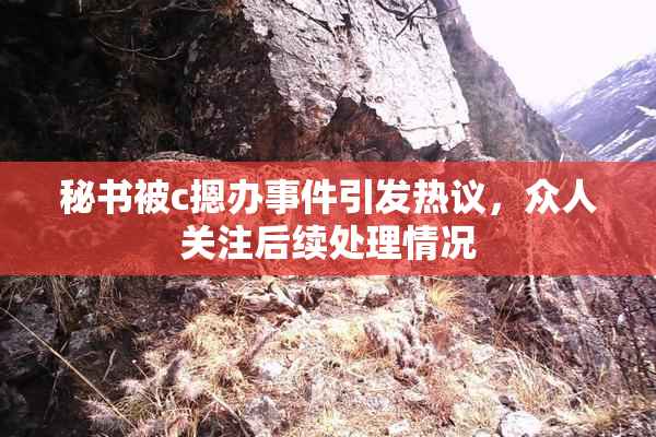 秘书被c摁办事件引发热议，众人关注后续处理情况