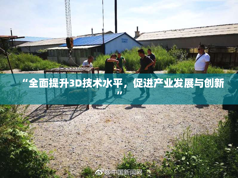 “全面提升3D技术水平，促进产业发展与创新”