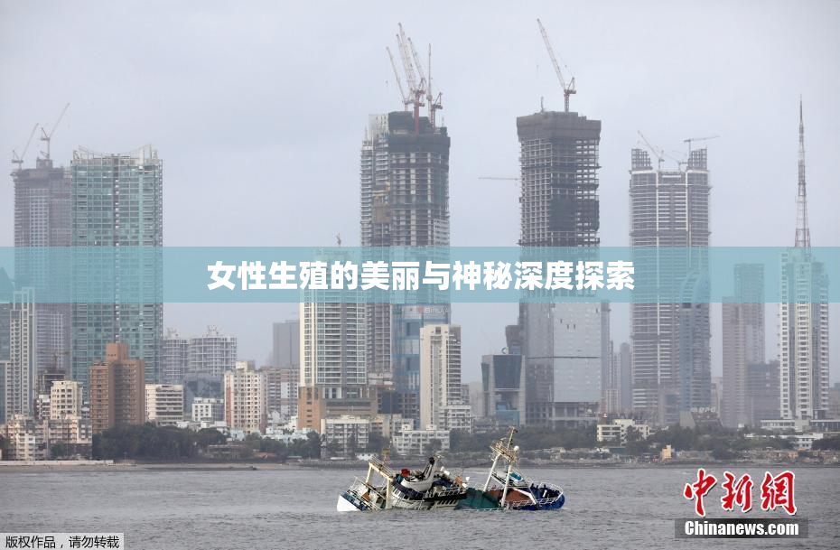 女性生殖的美丽与神秘深度探索