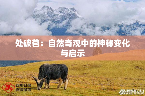 处破苞：自然奇观中的神秘变化与启示