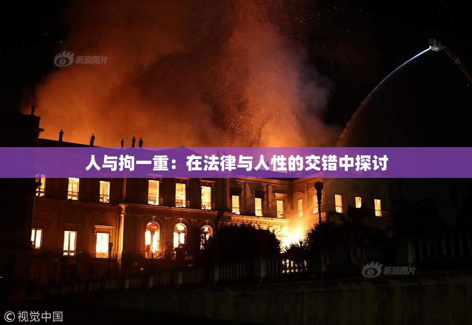 人与拘一重：在法律与人性的交错中探讨