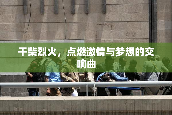 干柴烈火，点燃激情与梦想的交响曲