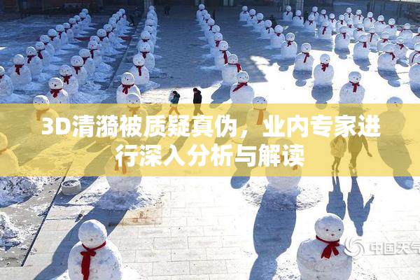 3D清漪被质疑真伪，业内专家进行深入分析与解读