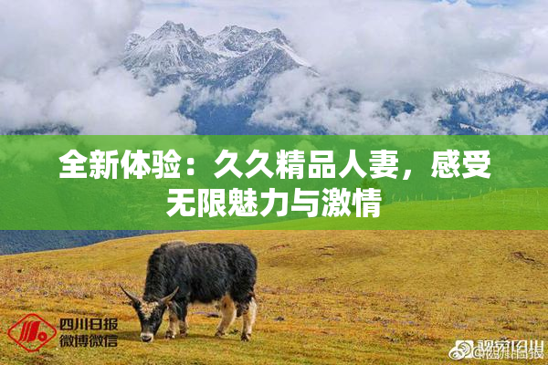 全新体验：久久精品人妻，感受无限魅力与激情