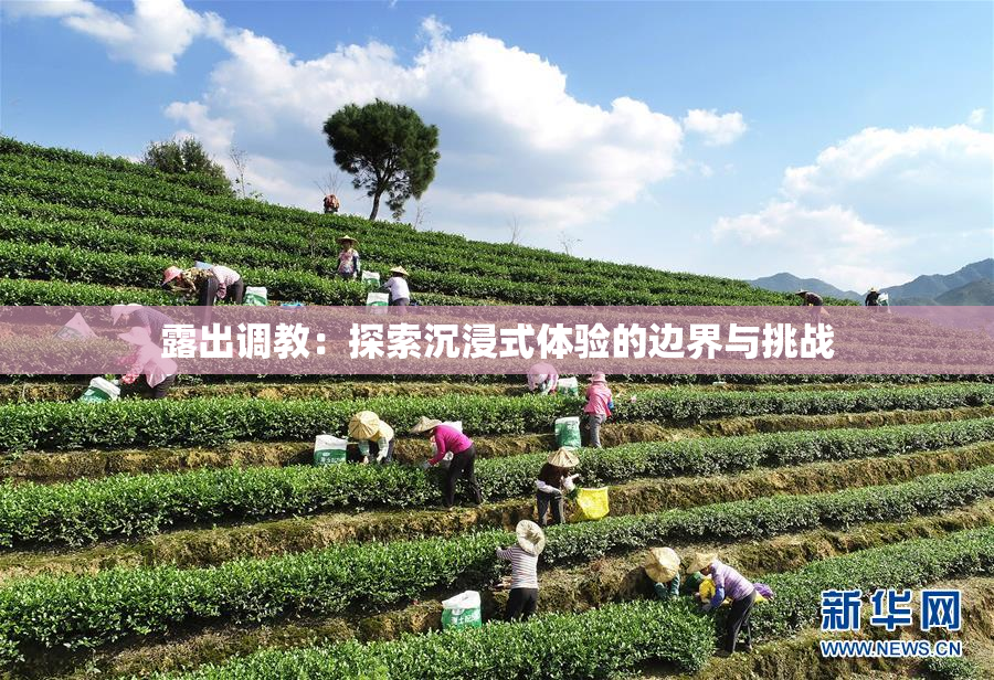 露出调教：探索沉浸式体验的边界与挑战