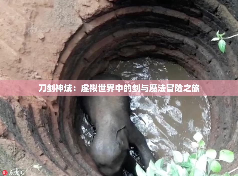 刀剑神域：虚拟世界中的剑与魔法冒险之旅