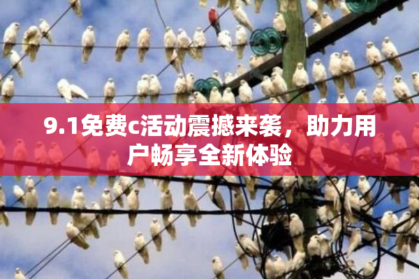 9.1免费c活动震撼来袭，助力用户畅享全新体验