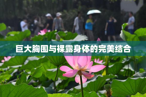 巨大胸围与裸露身体的完美结合