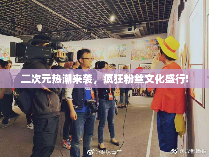 二次元热潮来袭，疯狂粉丝文化盛行!
