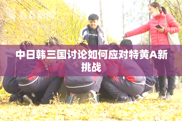 中日韩三国讨论如何应对特黄A新挑战