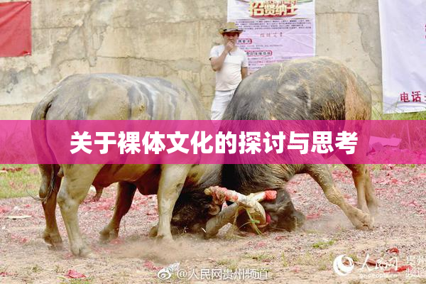 关于裸体文化的探讨与思考