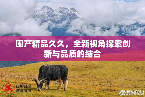 围产精品久久，全新视角探索创新与品质的结合