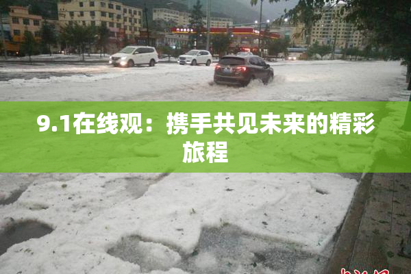 9.1在线观：携手共见未来的精彩旅程