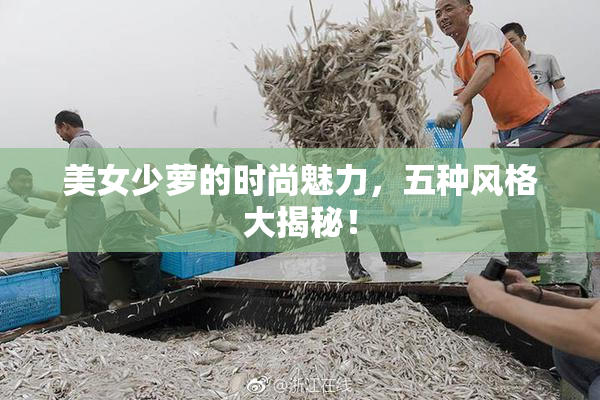 美女少萝的时尚魅力，五种风格大揭秘！