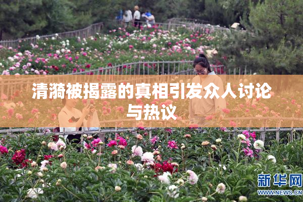 清漪被揭露的真相引发众人讨论与热议