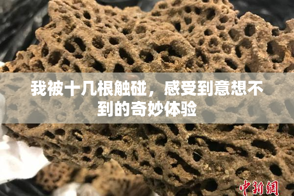 我被十几根触碰，感受到意想不到的奇妙体验