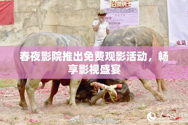春夜影院推出免费观影活动，畅享影视盛宴