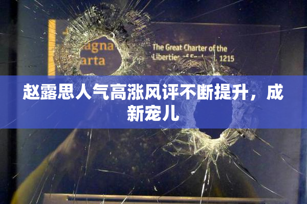 赵露思人气高涨风评不断提升，成新宠儿