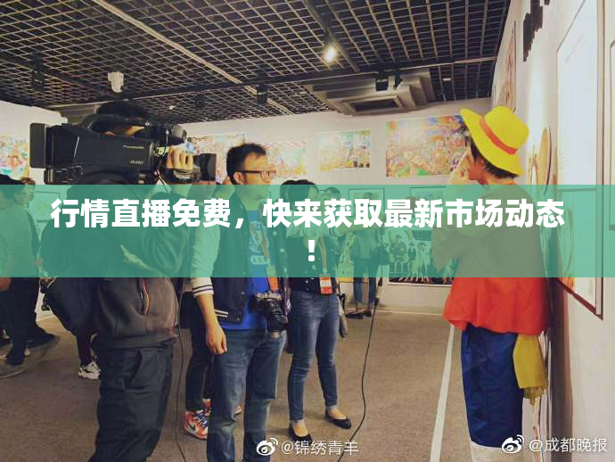 行情直播免费，快来获取最新市场动态！