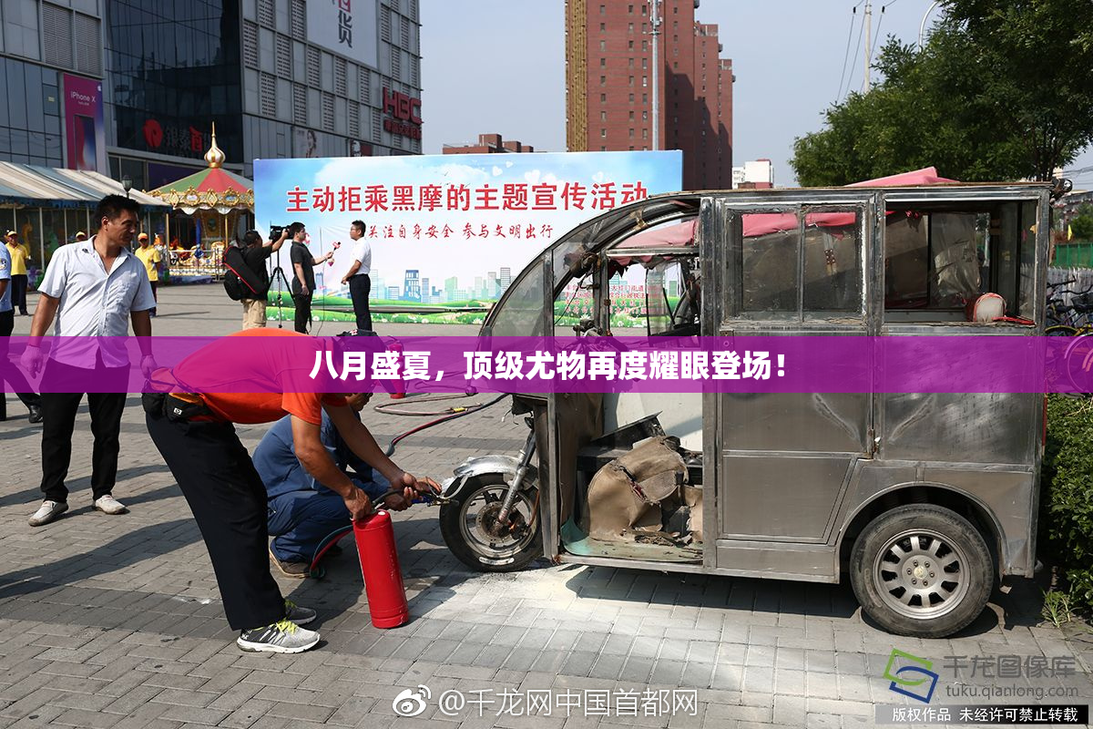 八月盛夏，顶级尤物再度耀眼登场！