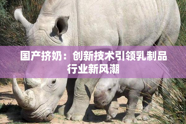 国产挤奶：创新技术引领乳制品行业新风潮