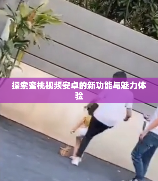 探索蜜桃视频安卓的新功能与魅力体验