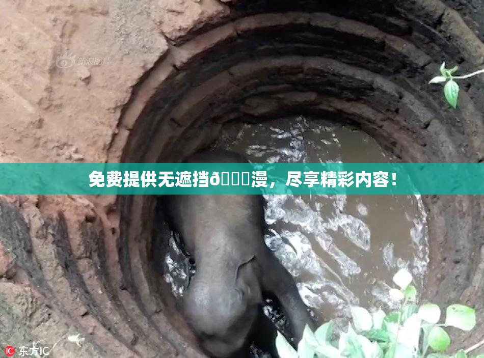 免费提供无遮挡🔞漫，尽享精彩内容！