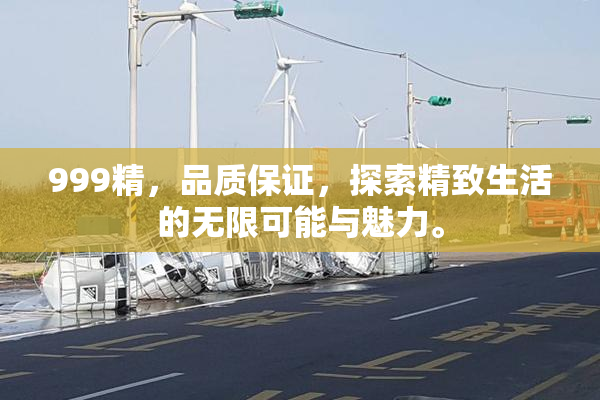 999精，品质保证，探索精致生活的无限可能与魅力。