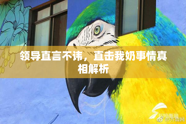 领导直言不讳，直击我奶事情真相解析