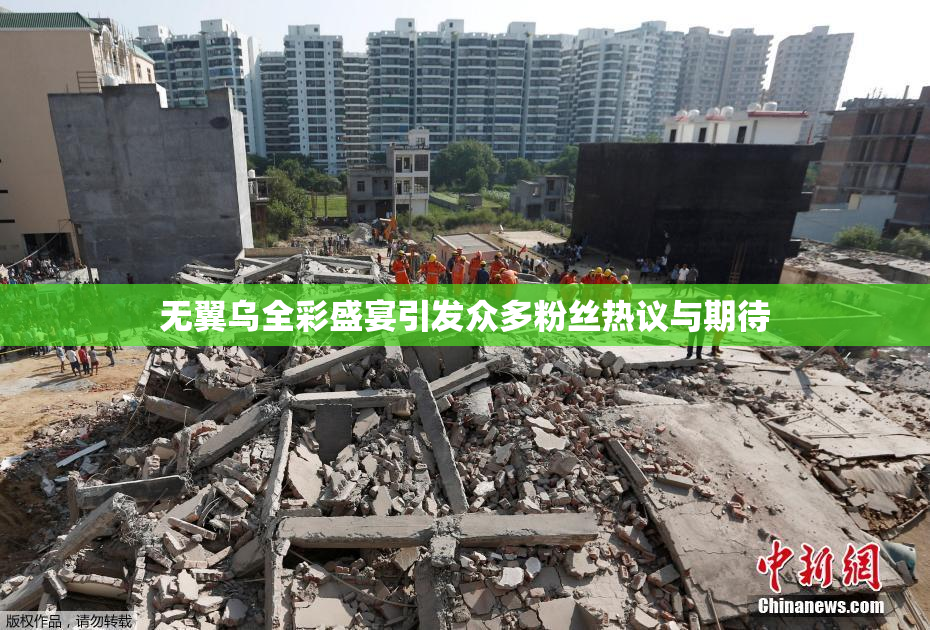 无翼乌全彩盛宴引发众多粉丝热议与期待