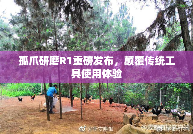 孤爪研磨R1重磅发布，颠覆传统工具使用体验