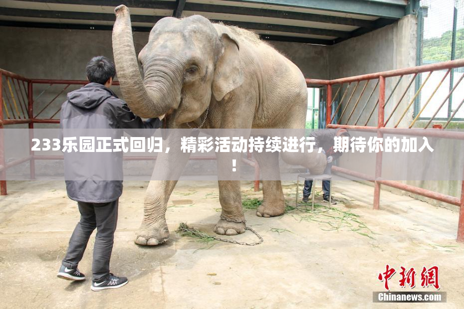 233乐园正式回归，精彩活动持续进行，期待你的加入！