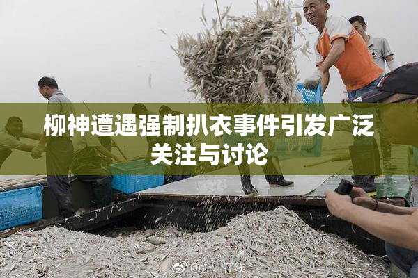 柳神遭遇强制扒衣事件引发广泛关注与讨论